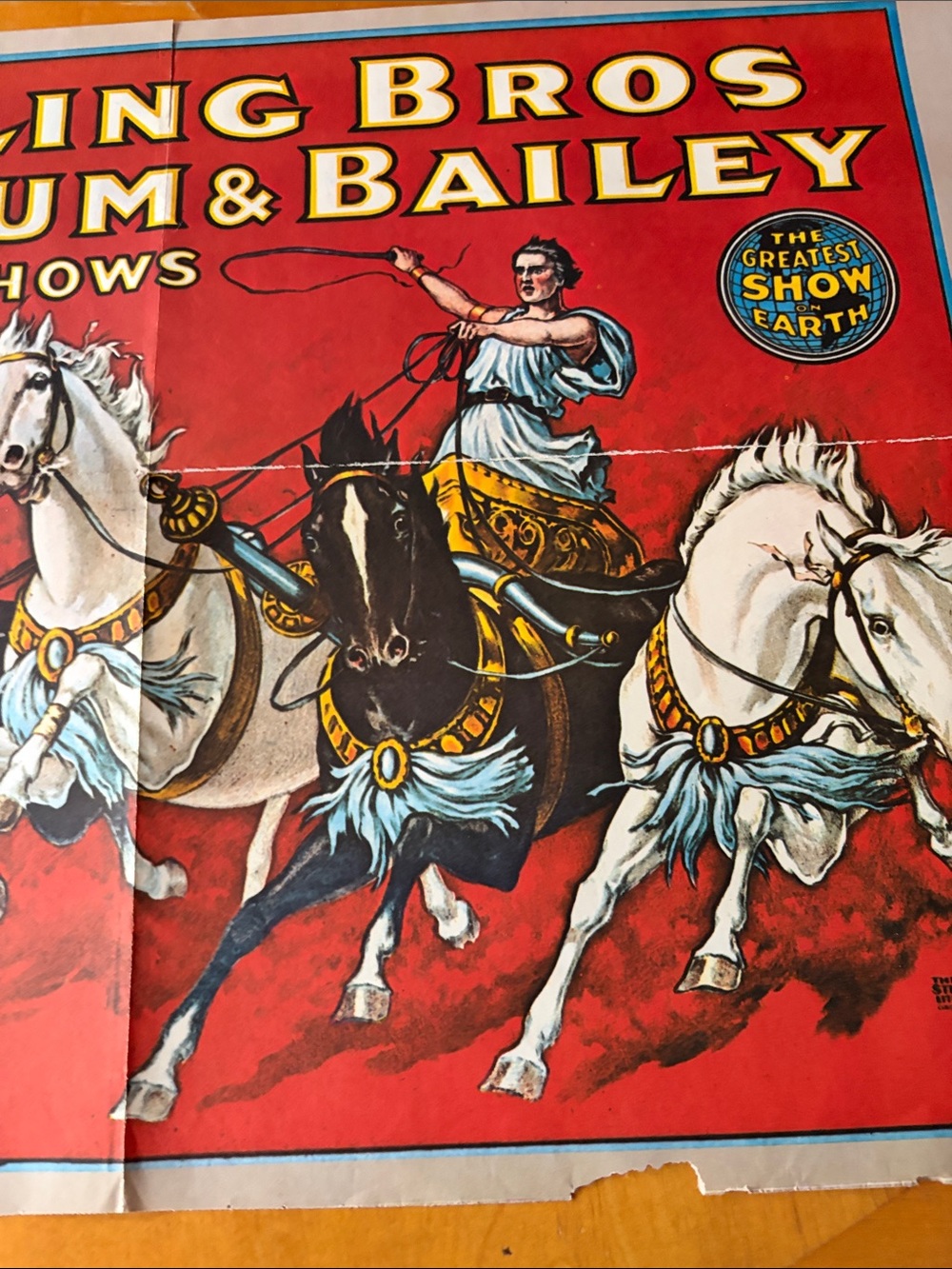 Red Equestrian Poster - Picture 6 of 10